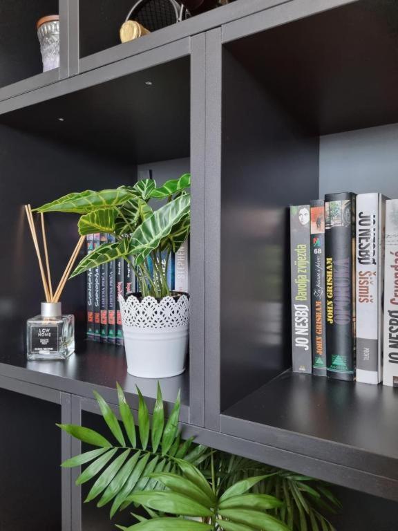 Apartment Amour Luxe Split Extérieur photo